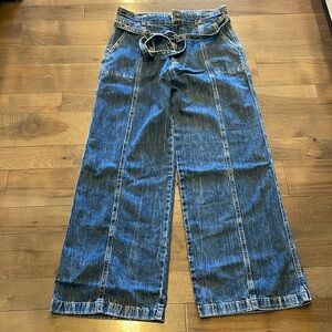 NWT Hudson Tie Waist Wide Leg Trouser Size 33